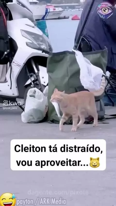 Video by pixote