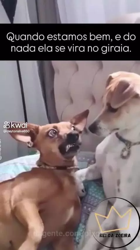 Video by pixote