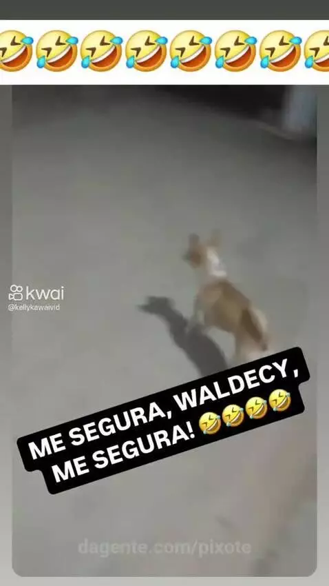 Video by pixote