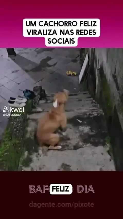 Video by pixote