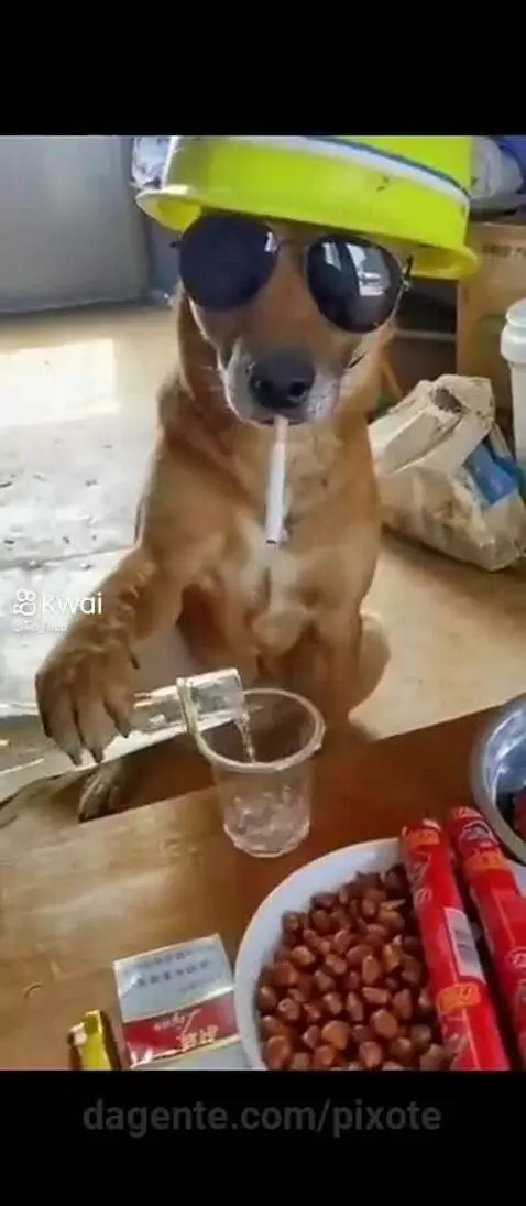 Video by pixote
