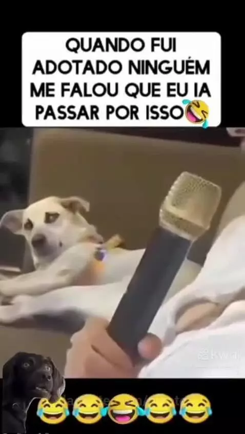 Video by pixote
