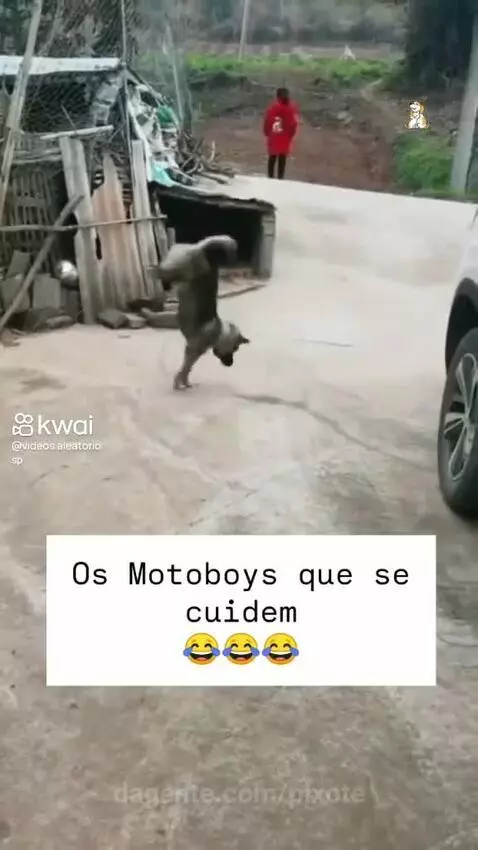 Video by pixote