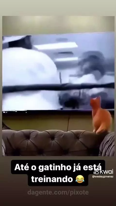Video by pixote
