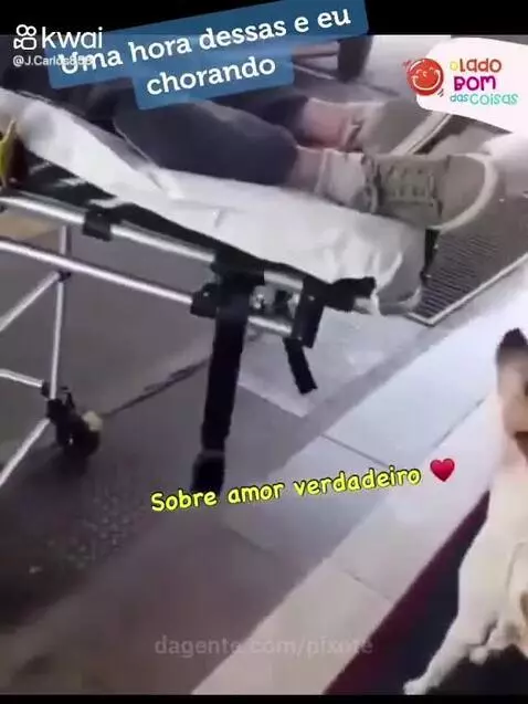 Video by pixote