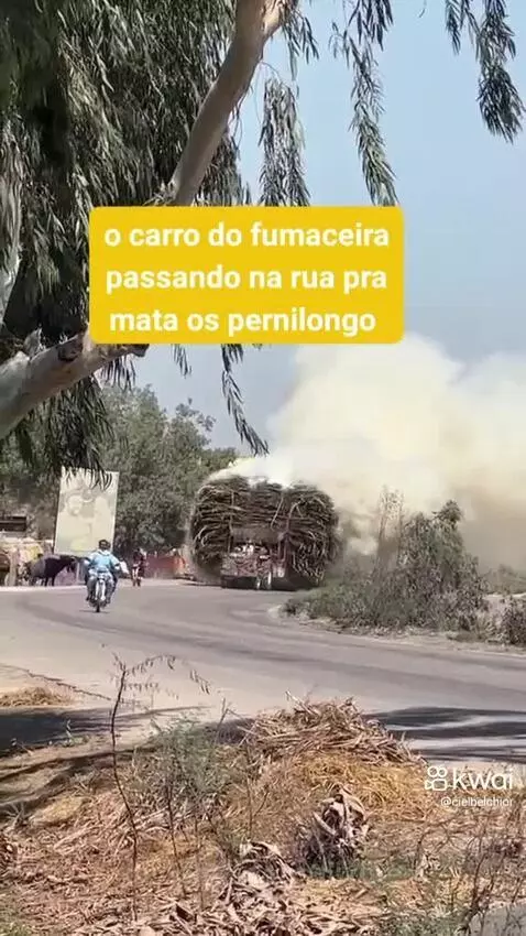 Video by pixote