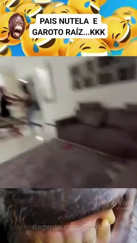 Video by pixote