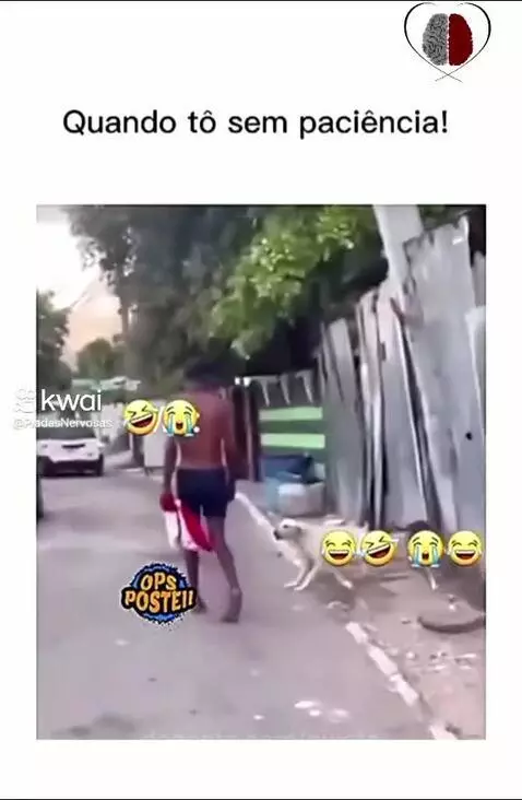 Video by pixote