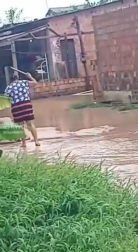 Video by pixote