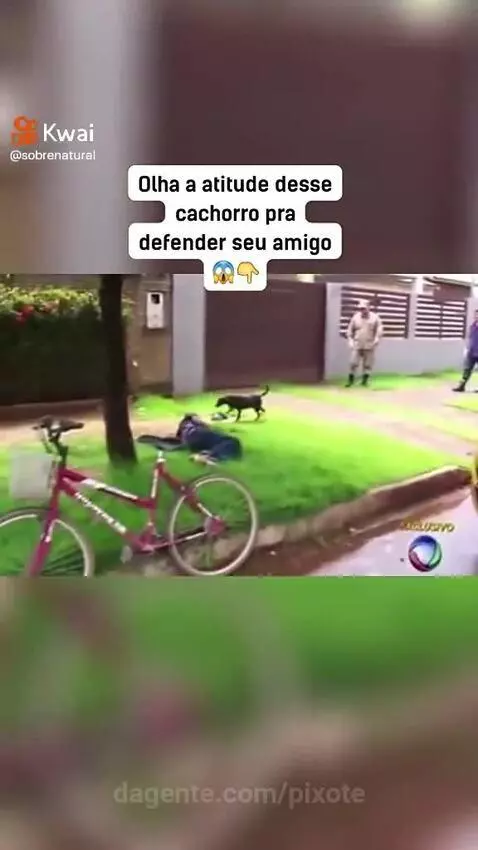 Video by pixote