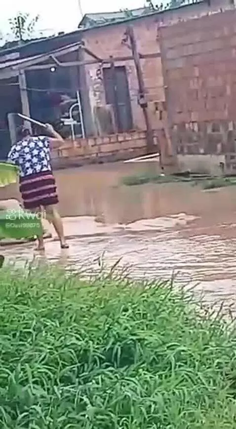 Video by pixote