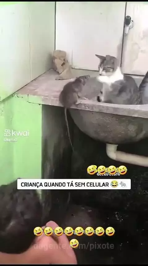 Video by pixote