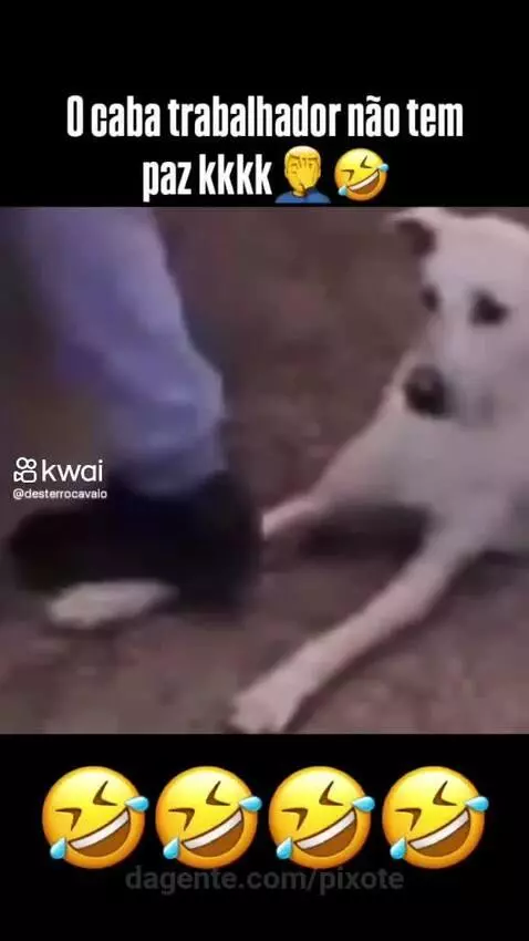 Video by pixote