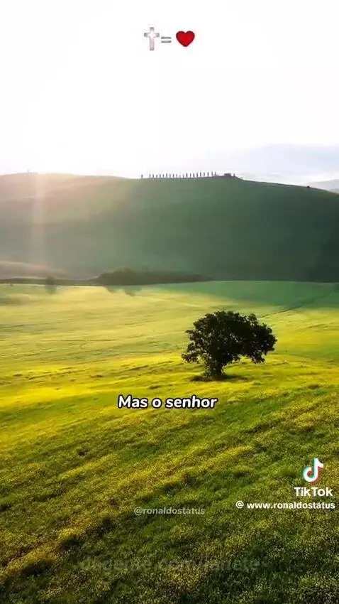 Video by janete