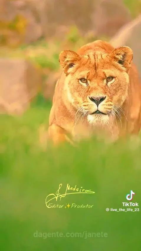 Video by janete