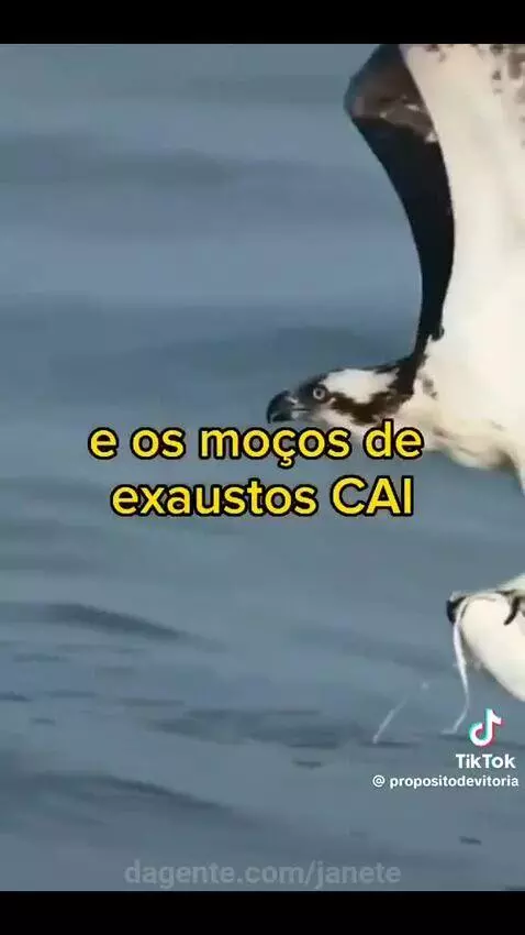 Video by janete