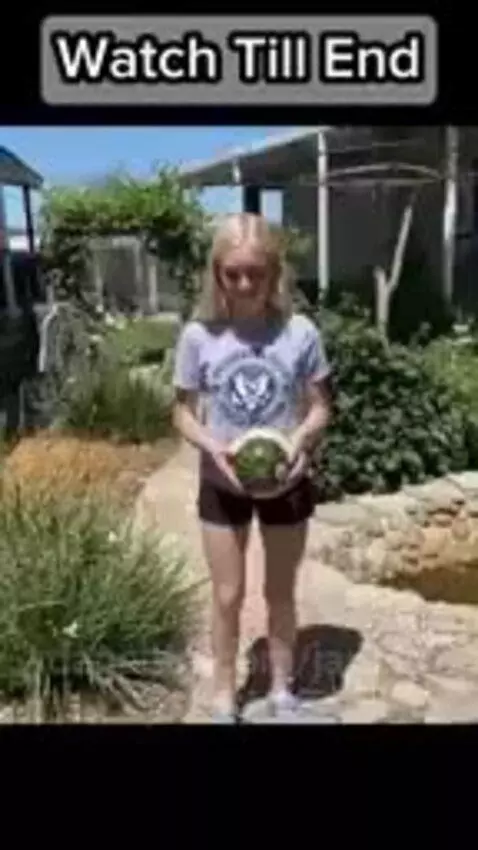 Video by janete