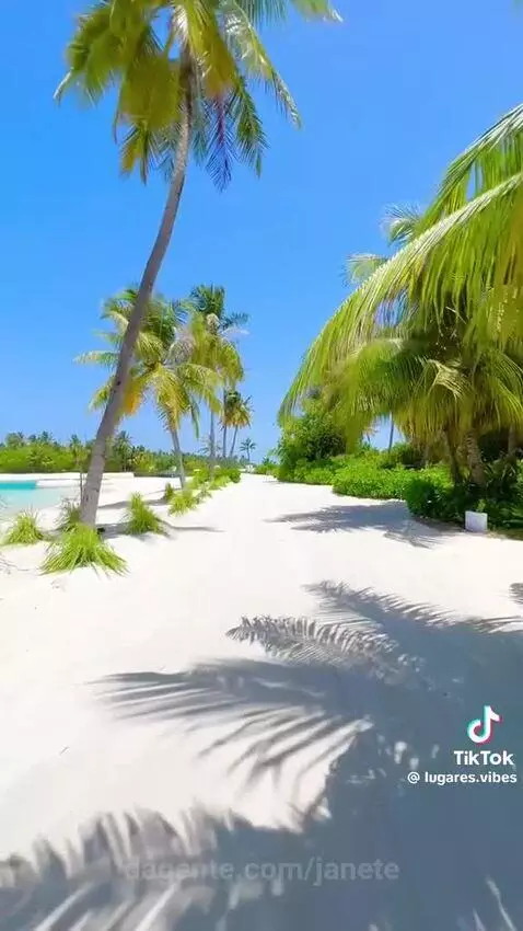 Video by janete