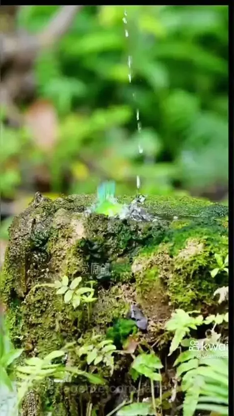 Video by janete