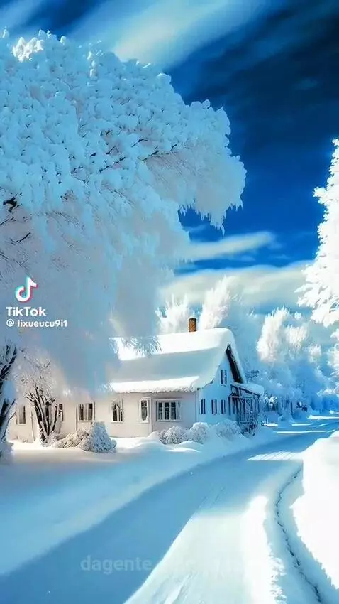 Video by janete