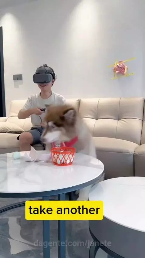 Video by janete