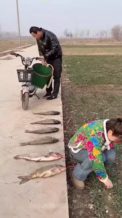 Video by janete