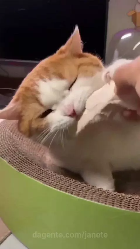 Video by janete