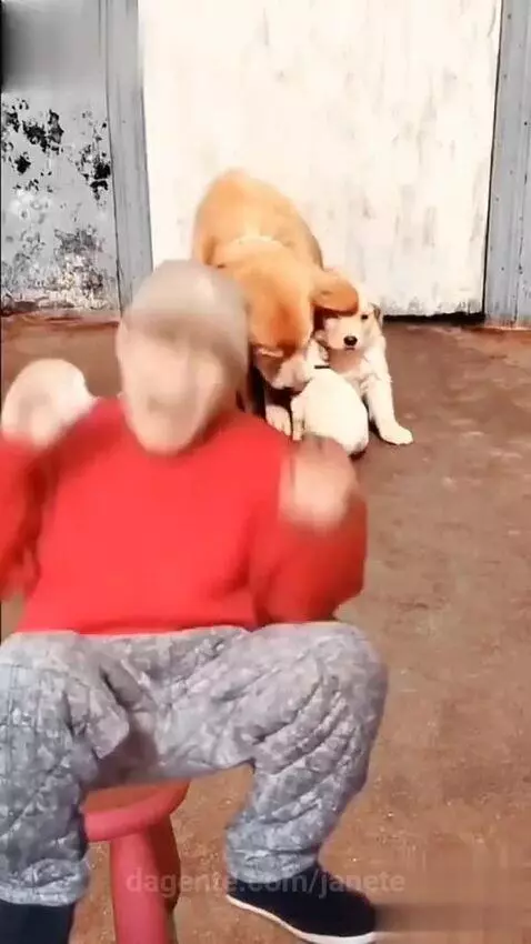 Video by janete