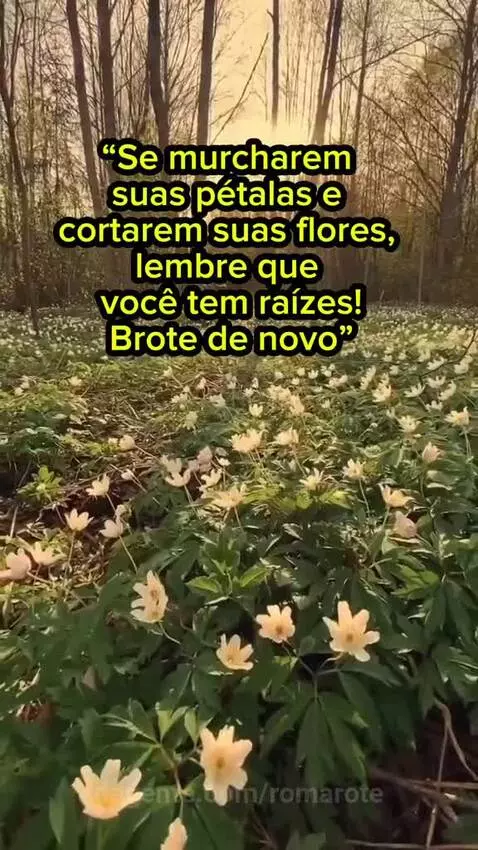Não deixe que ninguém apague seu brilho ⭐️ by romarote