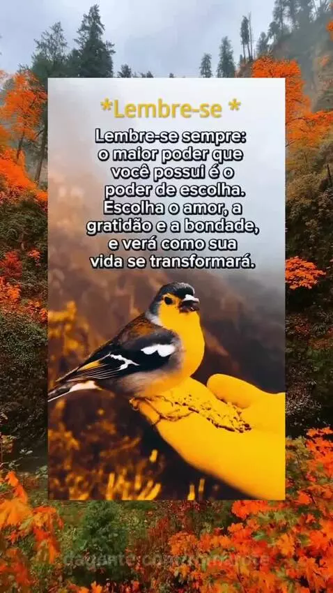Escolha sempre o amor e a bondade e o resto virá! by romarote