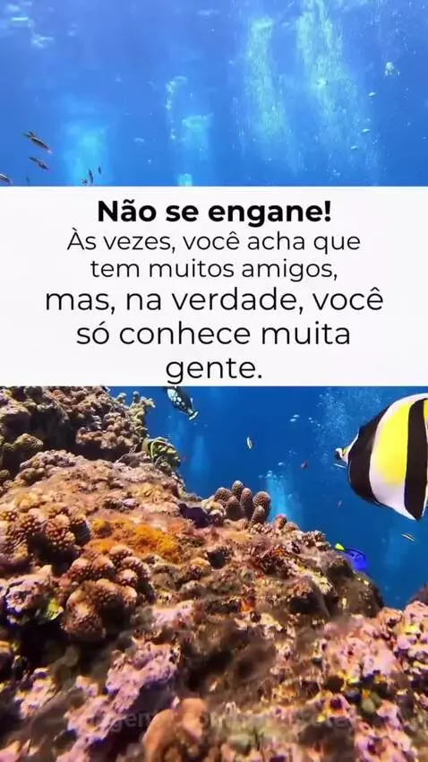Quantidade não significa qualidade, melhor ter poucos amigos... by romarote
