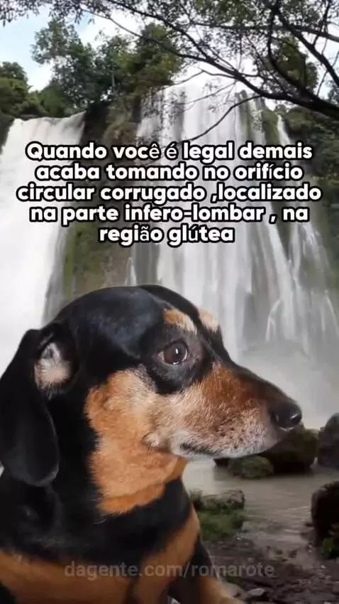 É isso, às vcs as pessoas se aproveitam da nossa bondade! by romarote