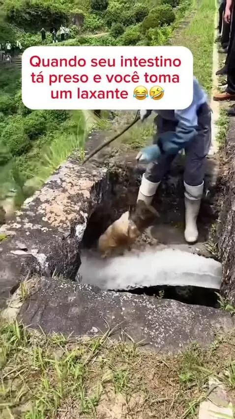 Bem assim 😂🤣😂🤣 by romarote