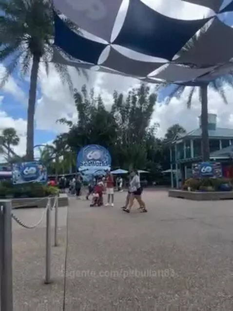 Estamos no Sea world. Vamos começar a brincadeira by pitbullatt83