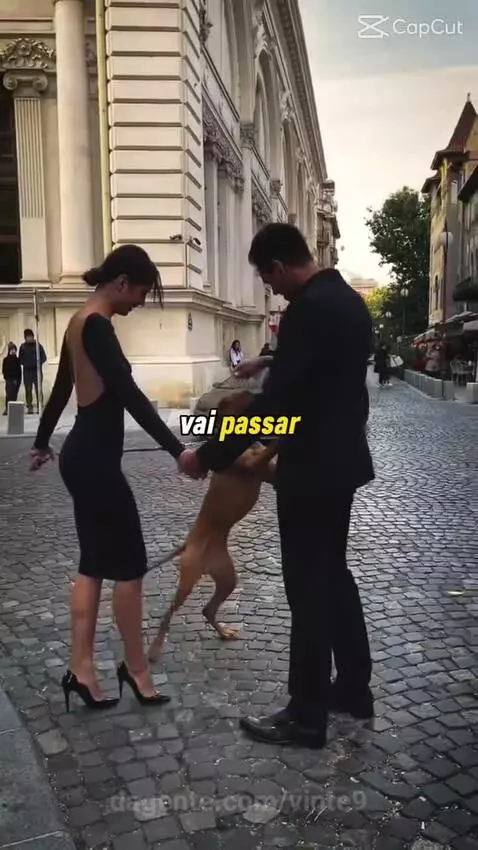 Video by vinte9