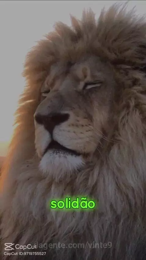 Video by vinte9