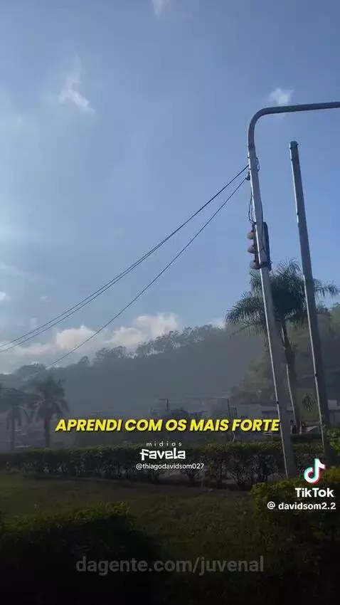 Video by juvenal