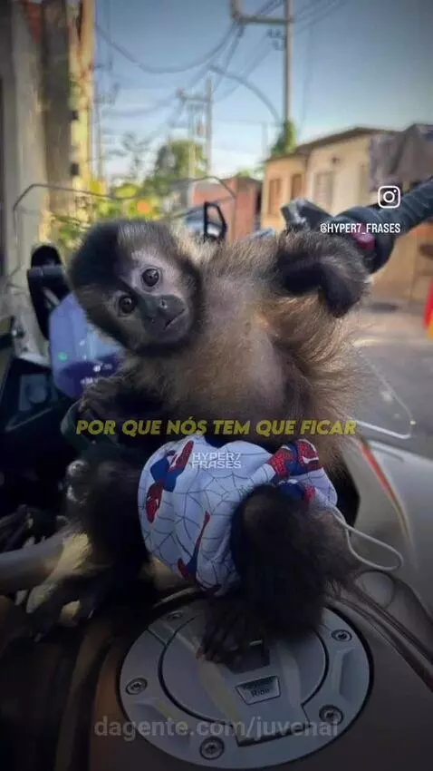 Video by juvenal