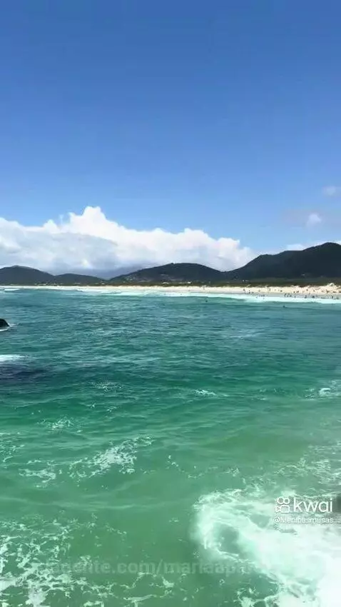 Video by mariaaparecida