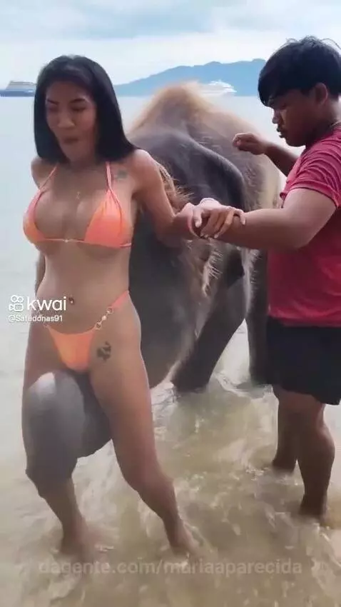Video by mariaaparecida