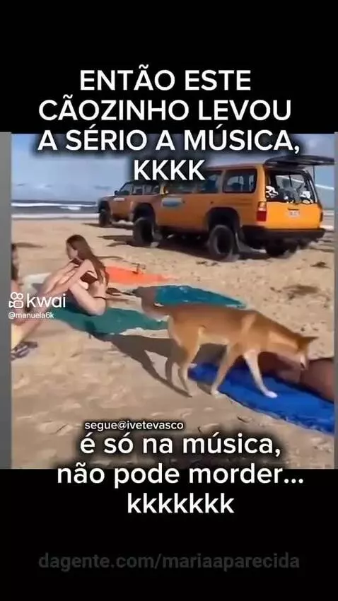 Video by mariaaparecida