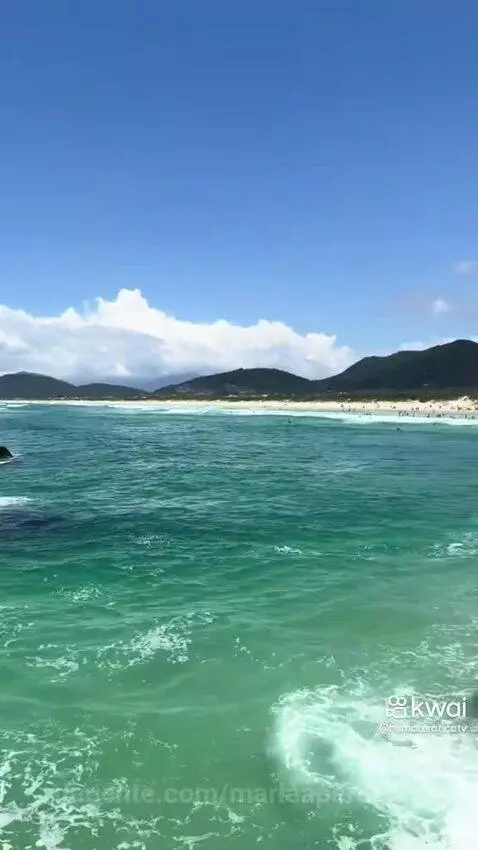 Video by mariaaparecida