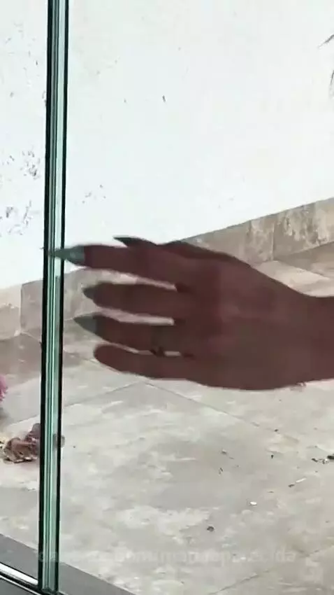 Video by mariaaparecida