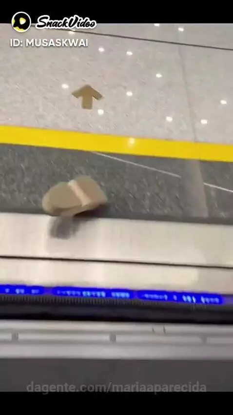 Video by mariaaparecida