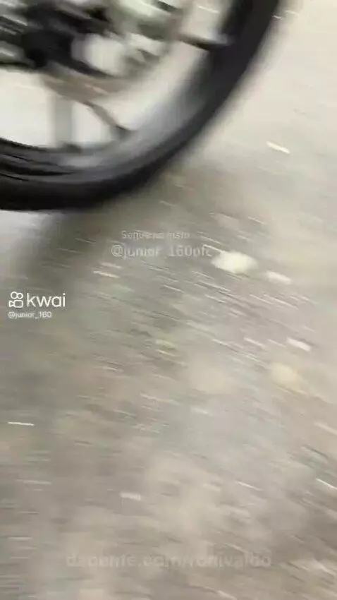 Prévia da publicação de ronivaldo