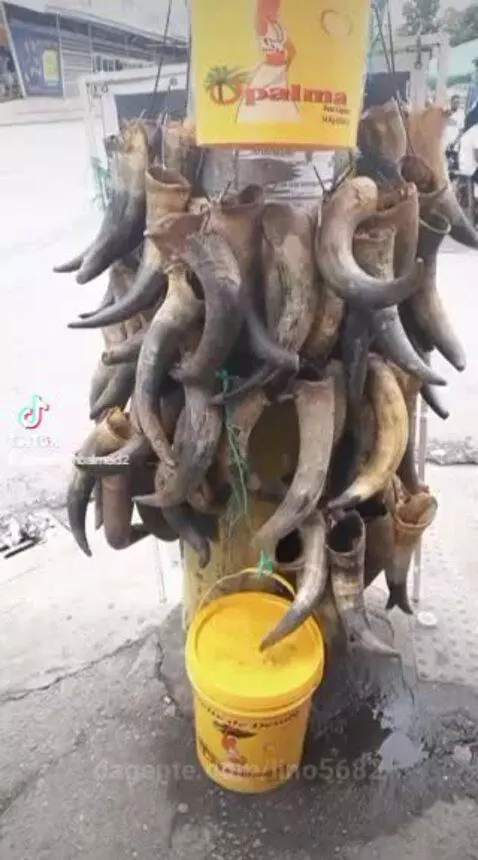 Video by lino5682
