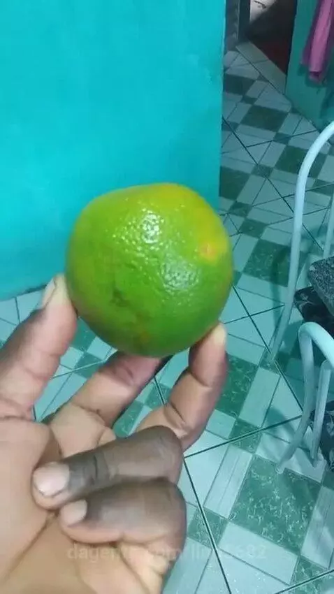 Video by lino5682