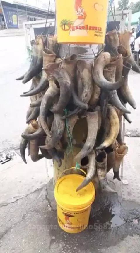 Video by lino5682
