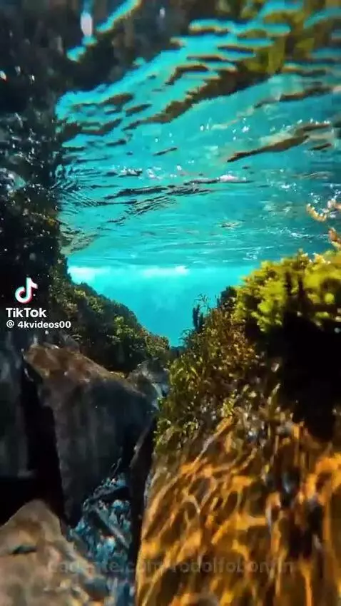 Video by rodolfobonfin