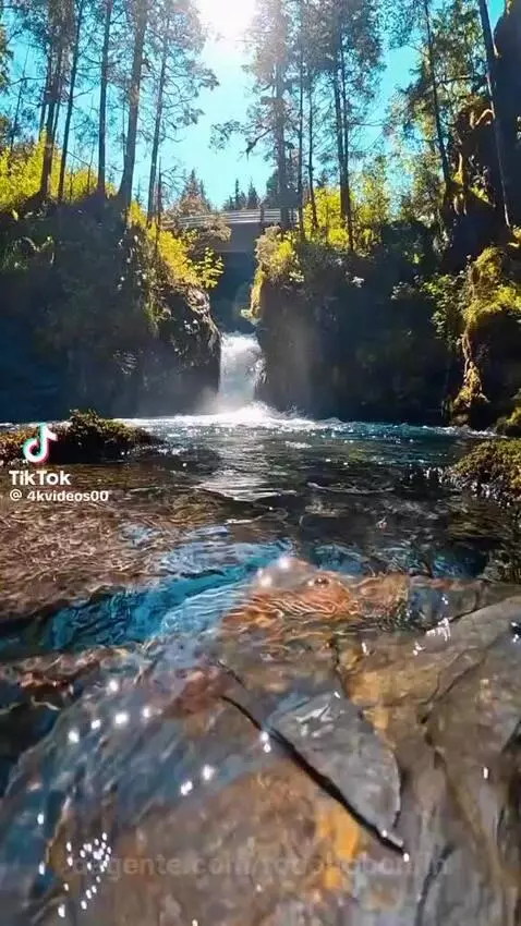 video poster